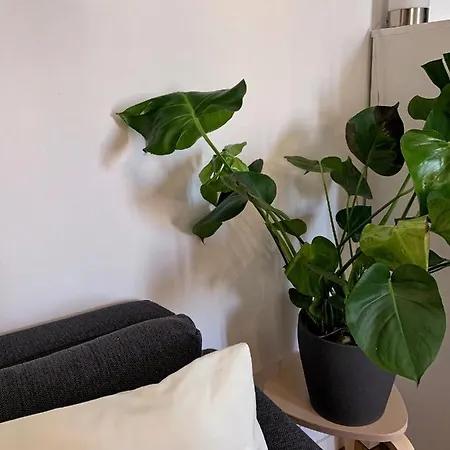 Appartement Nolo28 Milaan